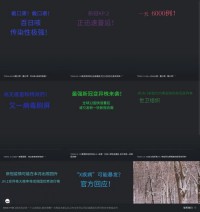 泛亚有色金属交易所