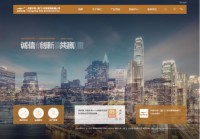 鸿星尔克投资公司