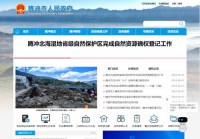 腾冲市人民政府网