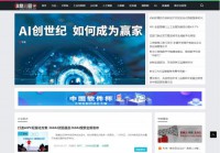 中国信息主管网