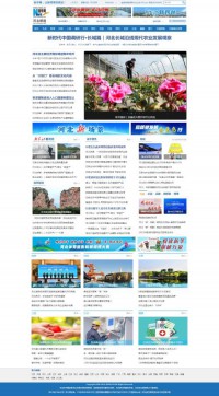 新华网河北频道