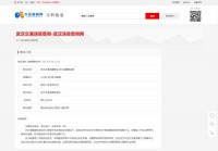 武汉违章查询网