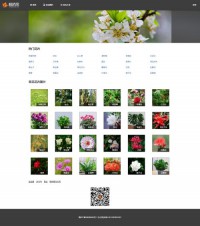 枫桥居花卉网