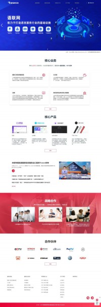 传神（中国）网络科技有限公司