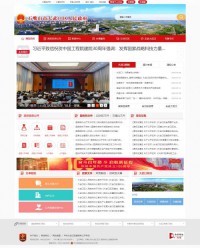 大武口人民政府