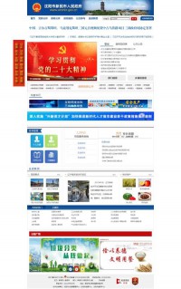 新民市人民政府