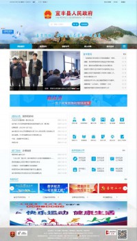 宜丰县政府网