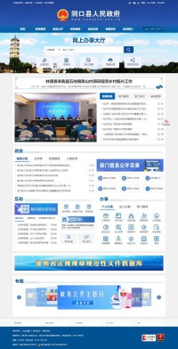 洞口县人民政府网
