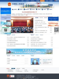 东营区人民政府