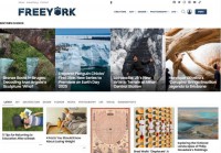 艺术灵感作品分享博客