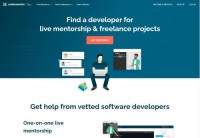 在线编程辅助指导平台