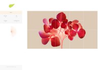 supernaturedesign.com