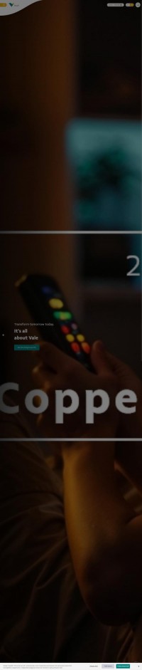 巴西VALE淡水河谷公司