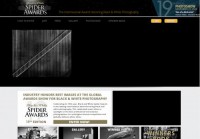 TheSpiderAwards