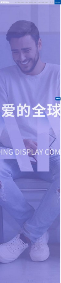 天马微电子集团