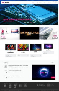 惠科电子（深圳）有限公司