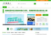 直销人网