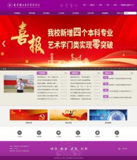 南京理工大学紫金学院