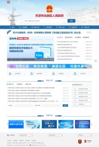北辰政务网
