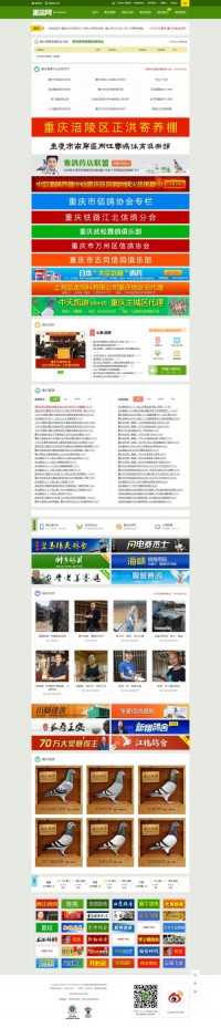 重庆信鸽信息网