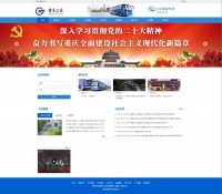 重庆市公共交通控股集团