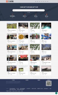 中国仪器仪表网