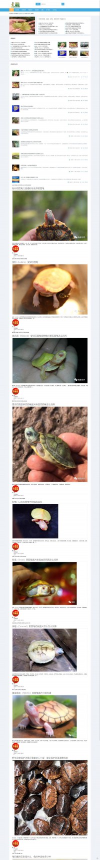 中国龟鳖商务网