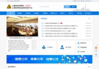 上海政府采购网