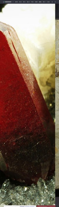 中国地质博物馆