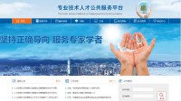 专业技术人才公共服务平台