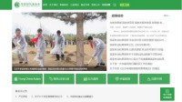 中国绿化基金