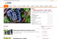 水果网