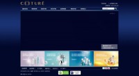 ceeture.com.cn