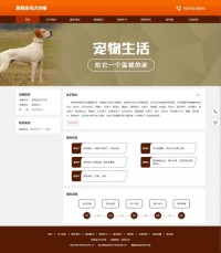 尚体健康生活网