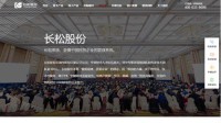 长松咨询