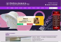 首都师范大学科德学院