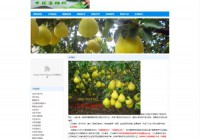 中国香柚网